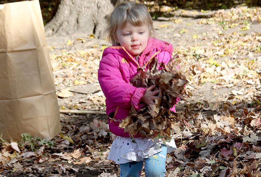 Prospect Park Cleanup